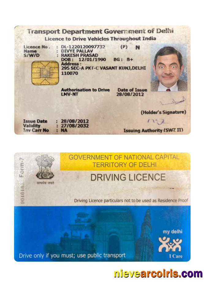 India Delhi driving license